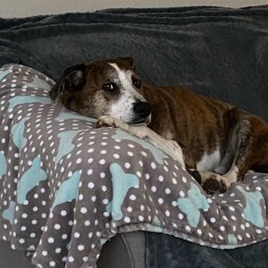 Meet your Posher, Colleen